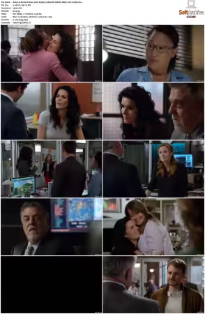 Rizzoli and Isles 2010 S01-S07 1080p NF WEB-DL DDP5.1 AV1-Vialle
