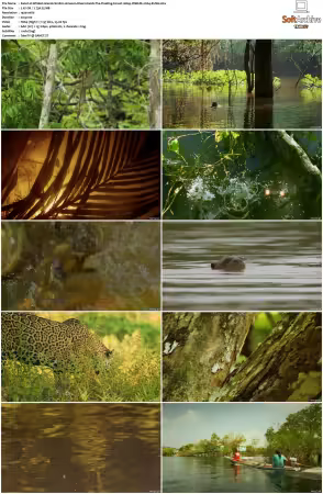 Wildest Islands S01 S02 1080p WEB-DL H264-KUSH