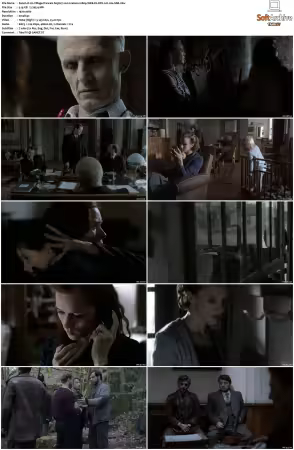 Un Village Francais S01 S07 1080p WEB-DL DD2.0 H264-SbR