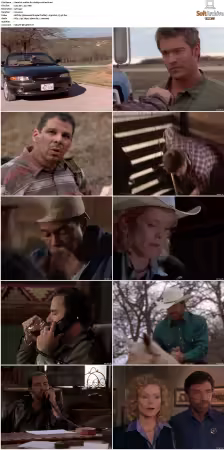 Walker Texas Ranger S01-S09 DVDRip XviD-Mixed
