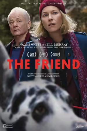 The Friend 2025 1080p AMZN WEB-DL DUAL DDP5.1 H264-TURG