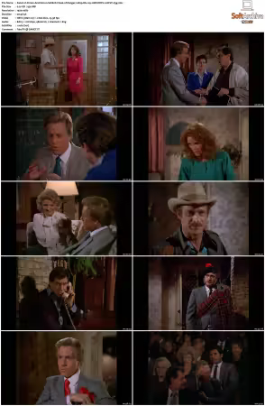 Simon and Simon S01-S08 1080p Blu-ray 10Bit DDP2.0 HEVC-d3g