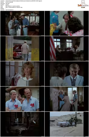 Simon and Simon S01-S08 1080p Blu-ray 10Bit DDP2.0 HEVC-d3g
