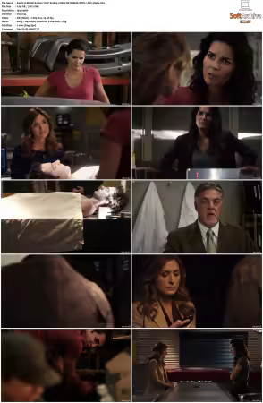 Rizzoli and Isles 2010 S01-S07 1080p NF WEB-DL DDP5.1 AV1-Vialle