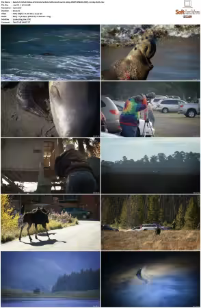 United States of Animals S01 1080p DSNP WEB-DL DDP5.1 H264-Sloth