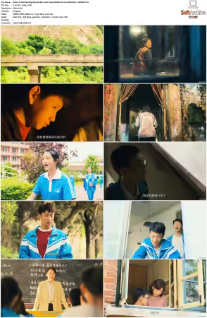 Our Dazzling Days S01 2026 2160p WEB-DL H 265 HDR DDP5.1-HHWEB