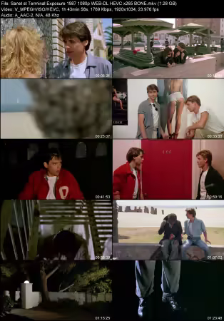 Terminal Exposure 1987 1080p WEB-DL HEVC x265 BONE