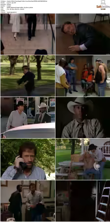 Walker Texas Ranger S01-S09 DVDRip XviD-Mixed