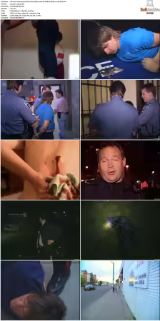 To Serve and Protect aka Under Arrest S01 S08 NF WEB-DL DDP2.0 x264-BTW