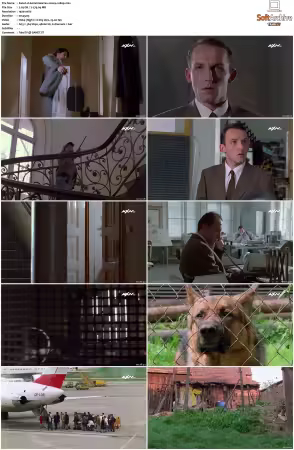 Kommissar Rex S01 S10 German 1080p HDTV x264-OMGtv