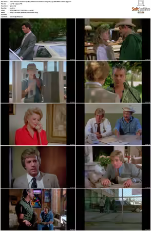 Simon and Simon S01-S08 1080p Blu-ray 10Bit DDP2.0 HEVC-d3g