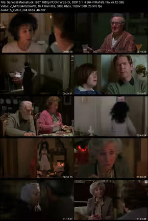Moonstruck 1987 1080p PCOK WEB-DL DDP 5.1 H264-PiRaTeS
