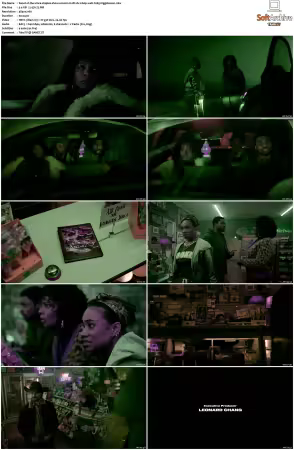The Vince Staples Show S01 S02 MULTI DV 2160p WEB H265-HiggsBoson