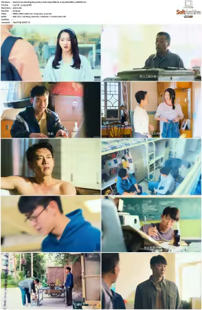 Our Dazzling Days S01 2026 2160p WEB-DL H 265 HDR DDP5.1-HHWEB