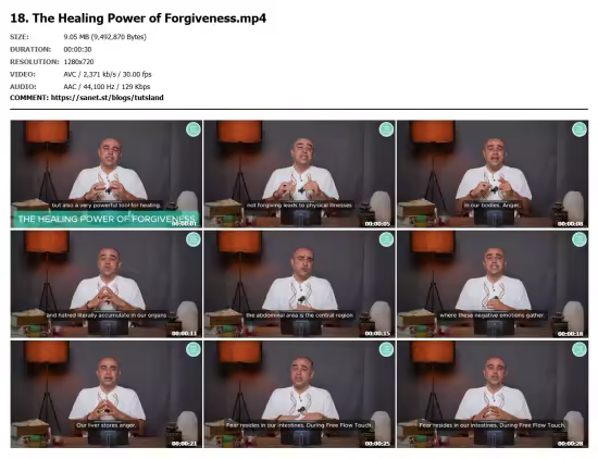 Free Flow Touch: Chi Nei Tsang &amp; Abdominal Massage Course