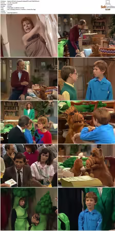 Alf S01 German DL 1080p MiXED x264-TVNATiON