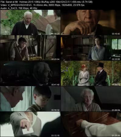 Mr. Holmes 2015 1080p BluRay x265 10bit EAC3 5.1 r00t