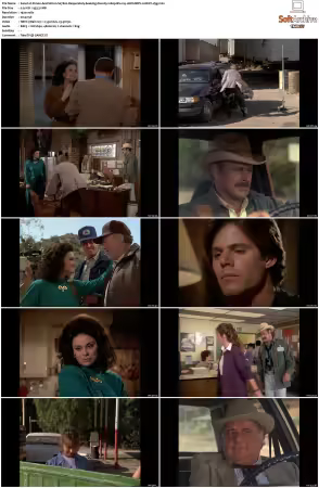 Simon and Simon S01-S08 1080p Blu-ray 10Bit DDP2.0 HEVC-d3g