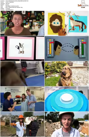 Weird But True S01 S03 1080p WEB H264-S