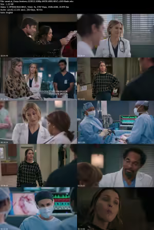 Greys Anatomy S22E12 1080p AMZN WEB HEVC x265-Blade