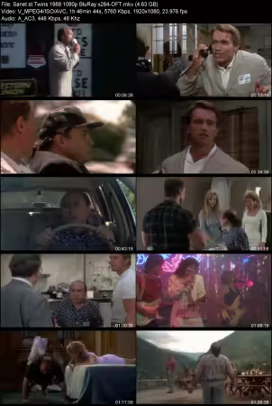Twins 1988 1080p BluRay x264-OFT