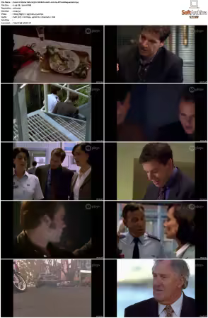 Water Rats S01-S06 WEB-DL AAC2.0 H264-BTN