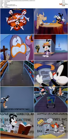 Animaniacs 1993 S01-S05 1080p UPSCALED DD 5.1 x265-EDGE2020