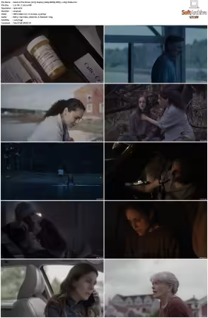 The Sinner 2017 S01 S04 1080p BDRip DDP5.1 x265-Vialle