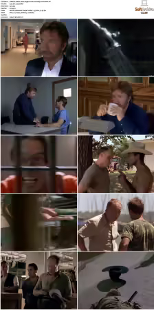 Walker Texas Ranger S01-S09 DVDRip XviD-Mixed
