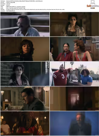 GLOW 2017 S01 S03 1080p DS4K NF Webrip DV HDR DDP5 1 x265-Vialle