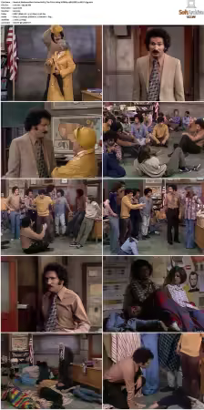 Welcome Back Kotter S01 S04 1080p WEBRip 10Bit DDP2.0 HEVC-d3g