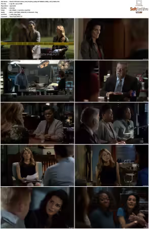 Rizzoli and Isles 2010 S01-S07 1080p NF WEB-DL DDP5.1 AV1-Vialle