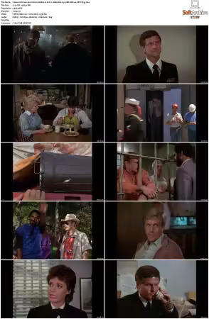 Simon and Simon S01-S08 1080p Blu-ray 10Bit DDP2.0 HEVC-d3g