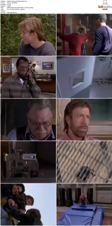 Walker Texas Ranger S01-S09 DVDRip XviD-Mixed