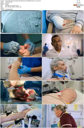 A&amp;E Crash Scene Emergency 2024 S01 1080p WEBRip 10bit EAC3 2.0 x265-iVy