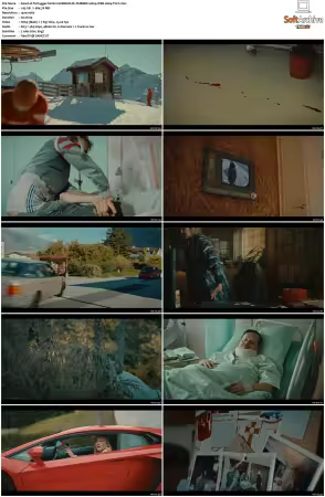 Tschugger S01 S04 GERMAN 1080p WEB H264-Mixed
