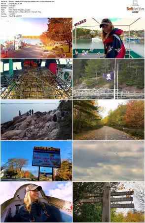 PARKD S01 S05 1080p FOX WEB-DL AAC 2.0 H264-ARCHIVED