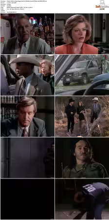 Walker Texas Ranger S01-S09 DVDRip XviD-Mixed