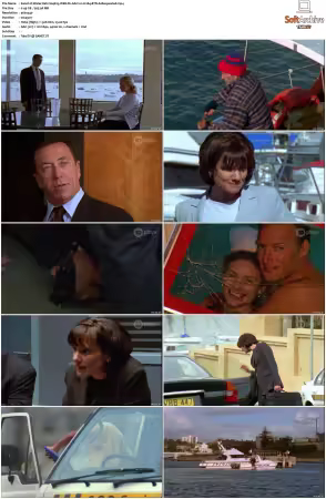 Water Rats S01-S06 WEB-DL AAC2.0 H264-BTN