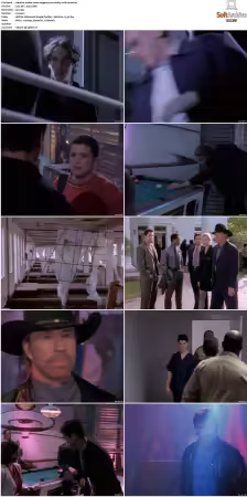 Walker Texas Ranger S01-S09 DVDRip XviD-Mixed
