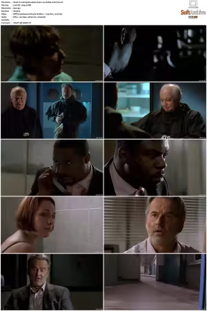 Waking The Dead S01 S09 DVDRip XviD-Mixed
