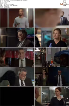 Rizzoli and Isles 2010 S01-S07 1080p NF WEB-DL DDP5.1 AV1-Vialle