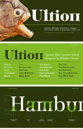 Ultion Font Family 21xOTF $199