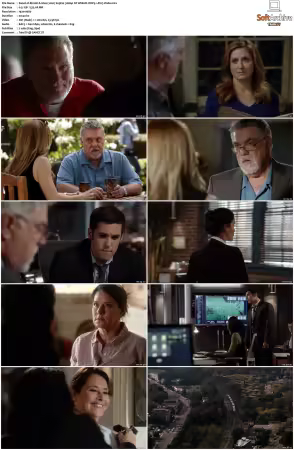 Rizzoli and Isles 2010 S01-S07 1080p NF WEB-DL DDP5.1 AV1-Vialle