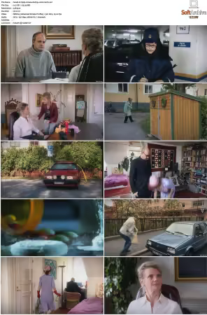 Hjalp S01 S03 SWEDiSH DVDRip XviD-SCC