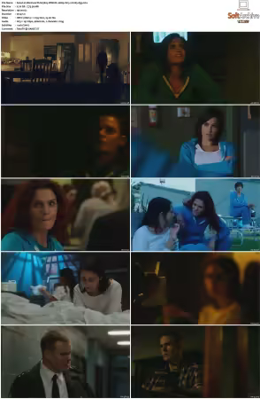 Wentworth S01 S09 1080p WEB h265-d3g