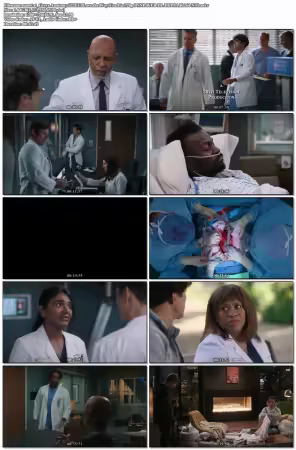 Greys Anatomy S22E13 Love the Way You Lie 720p DSNP WEB-DL DDP5 1 H 264-NTb
