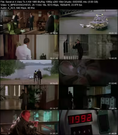 A View To A Kill 1985 BluRay 1080p x265 10bit 2Audio -SSDSSE