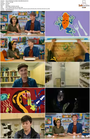 Weird But True S01 S03 1080p WEB H264-S