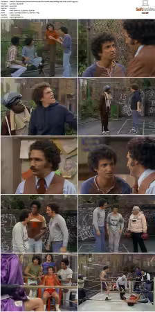 Welcome Back Kotter S01 S04 1080p WEBRip 10Bit DDP2.0 HEVC-d3g